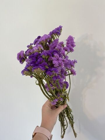 Dried hydrangeas | The Flower Lab